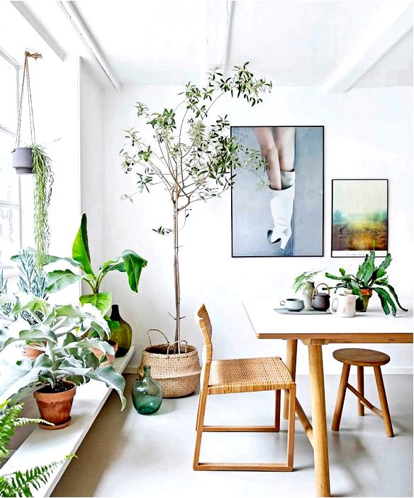 Букеты и комнатные растения в современном интерьере
