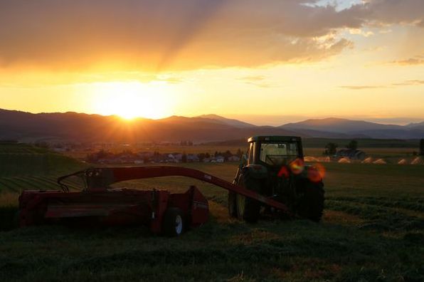 Выбор и установка сельхозинструмента на трактор ЮМЗ 6: оптимизация работы в поле